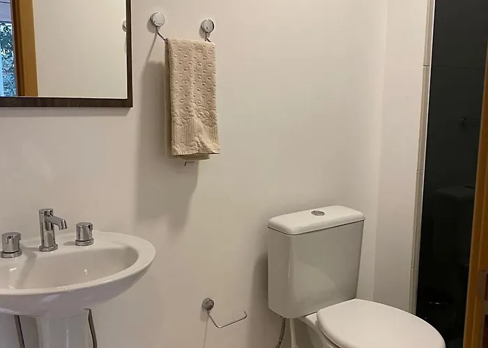 Apartamento Apto Confortável Com Vista A Natureza
