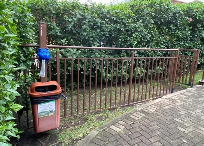 Apartamento Apto Confortável Com Vista A Natureza